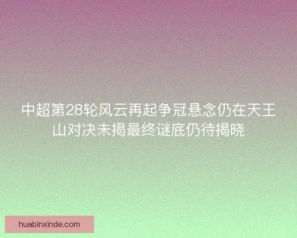 中超第28轮风云再起争冠悬念仍在天王山对决未揭最终谜底仍待揭晓
