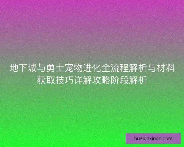 地下城与勇士宠物进化全流程解析与材料获取技巧详解攻略阶段解析